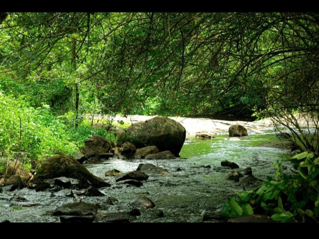 Nest Resorts Athirappilly Exterior photo